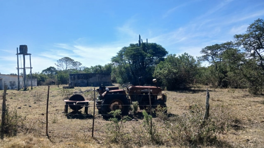 Commercial Property for Sale in Bathurst Rural Eastern Cape